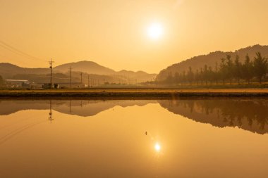 Çiftlik için su toplanan pirinç tarlalarına yansıyan ev ve köylerin yansıması
