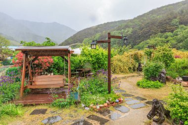 Baharda, yağmurda ıslanmış ağaçlar ve çiçeklerle parkın yürüyüş yolu manzarası.