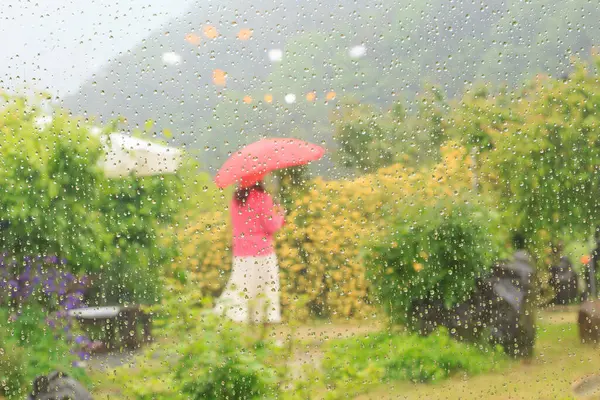 Baharda, yağmurda ıslanmış ağaçlar ve çiçeklerle parkın yürüyüş yolu manzarası.