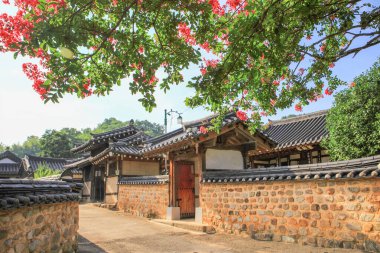Güney Gyeongsang eyaletinin Haman ve Goryeo-dong şehrinin tarihi manzarası, kırmızı kırlangıç çiçeklerinin açtığı yer.