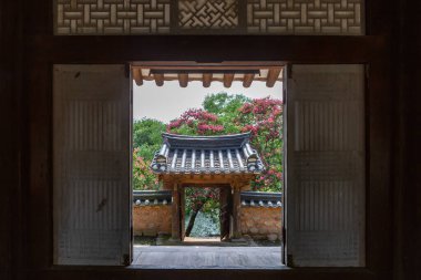 Mujinjeong 'un yaz manzarası, Haman-gun, Gyeongsangnam-do, kırmızı yengeç çiçeklerinin açtığı yer