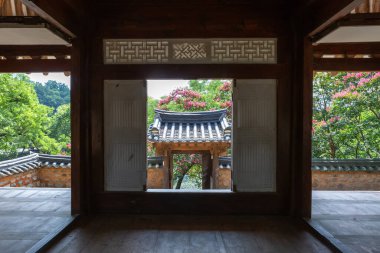 Mujinjeong 'un yaz manzarası, Haman-gun, Gyeongsangnam-do, kırmızı yengeç çiçeklerinin açtığı yer