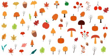 Sonbahar unsurları dekorasyon sağlar. Arkaplan paneli sınır izole vektör illüstrasyon tasarımı