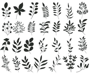 Yeşil bahçeli Vektör Çiçek Bitkisi dalı çiçek vektör siluetleri arkaplandaki çiçek resimlerini bırakır