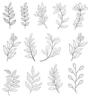 Yeşil bahçeli Vektör Çiçek Bitkisi dalı çiçek vektör siluetleri arkaplandaki çiçek resimlerini bırakır