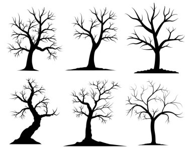 Beyaz vektör çizimleri arka planında kökleri olan siyah siluet çıplak ağaç 