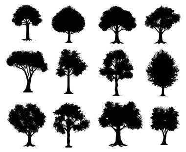 Set tree silhouettes vector illustrations