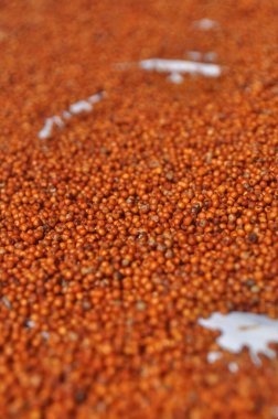 Bu büyüleyici görüntüde, İngiliz parmak darı hasadı kırsal bir zeminde güzelce sergileniyor. Zemin altın parmak darı tanelerinden oluşan zengin bir halıyla kaplı, yeni toplanmış ve titizlikle düzenlenmiş. Tahılların dokusunu.