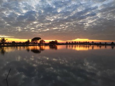 Ormanda güzel bir şelale