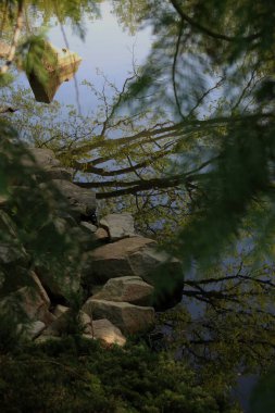 Parkın güzel manzarası