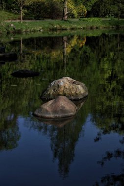 Ormanda nehri olan güzel bir manzara.
