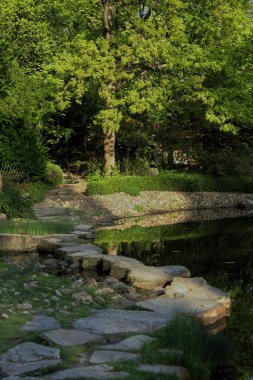Sabah şehir parkının manzarası