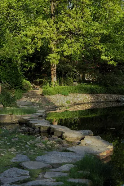 Sabah şehir parkının manzarası