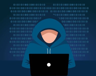 Hacker sistem hırsızı çevrimiçi ve e-posta verileri, şifre ve kredi kartı bilgilerini çaldı.