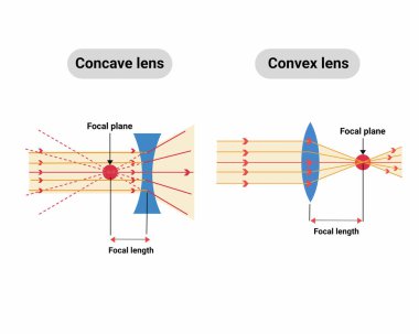 Lens dışbükey içinden geçen ışık ışınları veya optik fizik vektör illüstrasyonunda yakınlaşan lens şematik diyagramı