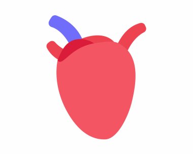 Kalp kolesterol plağı kan damarlarında.