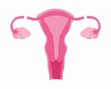 Kadın kısırlaştırma prosedürleri vasektomi ve tüp bağlama sağlık hizmetleri ve doğum kontrol vektörü çizimi.