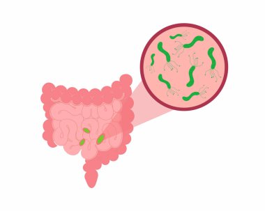 Bakteri, mikrop ve vektör illüstrasyonlu kalın bağırsaklar.