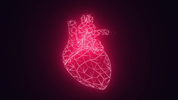 Избиение Человеческого Сердца Анатомией Человеческого Тела — стоковое видео