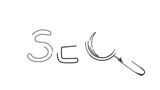 Sökmotoroptimering Seo Whiteboard Doodle Animation — Stockvideo