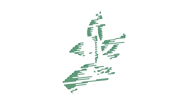 環境保全グリーンプラントの落書きアニメーション — ストック動画