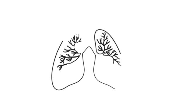 Ανθρώπινο Σώμα Πνεύμονες Whiteboard Doodle Ιατρική Επιστήμη Κινούμενα Σχέδια — Αρχείο Βίντεο