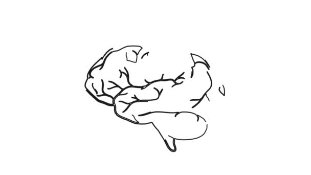 Humano Cérebro Placa Branca Doodle Ciência Médica Animação — Vídeo de Stock