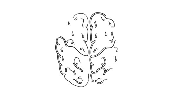 Creierul Uman Inteligent Gândire Desenat Mână Doodle Whiteboard Animație — Videoclip de stoc