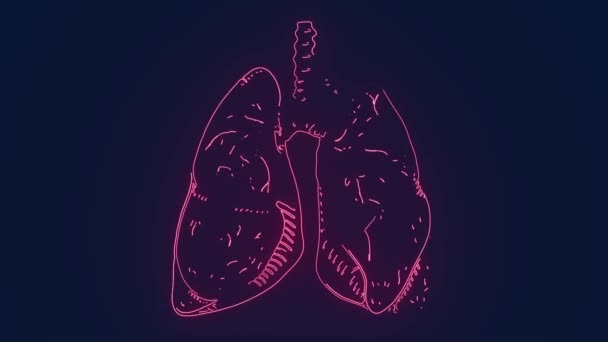 Animasi Ilmu Kedokteran Lung Manusia — Stok Video
