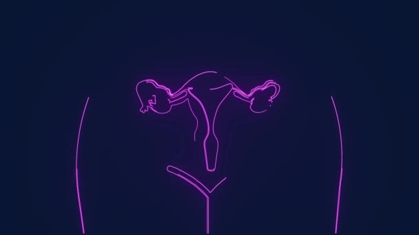 Kvinnliga Reproduktiva Systemet Människokroppen Anatomi Animation — Stockvideo