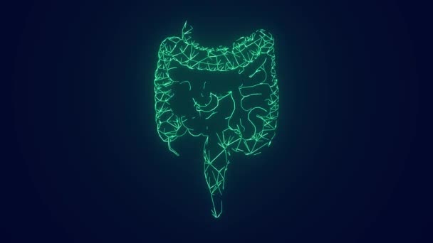 Human Intestine Medical Science Human Body Anatomy Animation — Stock video