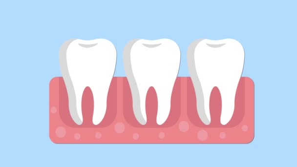 Dentysta Sprawdza Zarazki Zębach Słaba Animacja Higieny Jamy Ustnej — Wideo stockowe