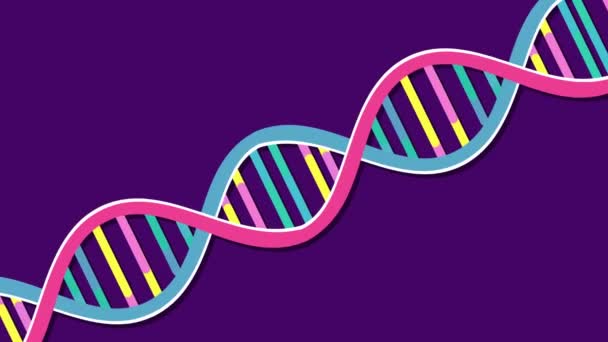 Herencia Del Adn Humano Ácido Desoxirribonucleico Hebra Multicolor Ciencia Médica — Vídeo de stock