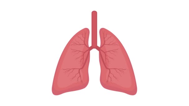 Diagnostyka Raka Płuc Organizmie Człowieka Animacja Medyczna — Wideo stockowe