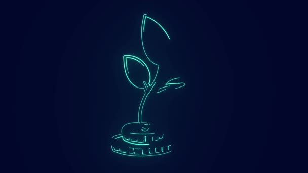 Pengar Växt Investeringar Tillväxt Från Stack Mynt Finansiering Animation — Stockvideo