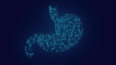 İnsan organı mide insan anatomisi geleceksel animasyon