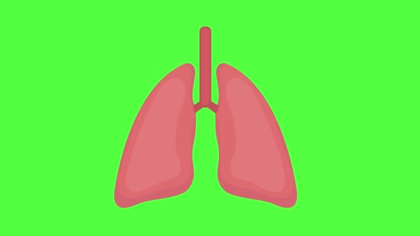 Animation Der Menschlichen Lungen Auf Grünem Bildschirmhintergrund — Stockvideo