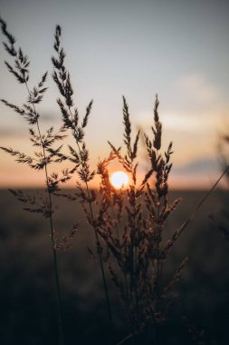 Dağlarda gün batımı, doğa, manzara, seyahat, günbatımı, yaz, seyahat ve doğa, yaz, dağlarda gün batımı,,