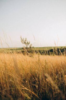 Dağlarda güzel bir gün batımı