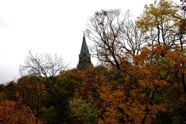 Sonbahar ağaçları, Stockholm manzarası, renkli yaprakları olan eski bir bina.