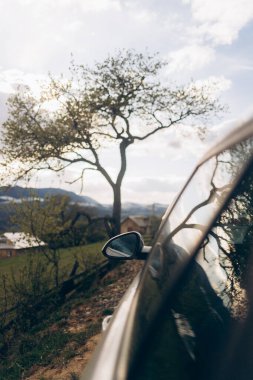 Arka planda ağaç olan bir araba yolda park halinde. Arabanın yan aynası ağacı yansıtıyor.