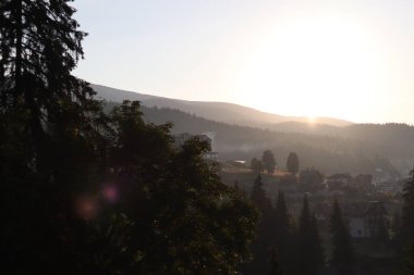 Ağaçlı ve ormanlı güzel dağ manzarası