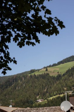 Yapraklı bir ağaç dalı mavi bir gökyüzüne karşı dağlarda siluetlendi. Gökyüzü berrak ve parlak, ağaçlar gür ve yemyeşil. Huzur ve doğal güzellik kavramı