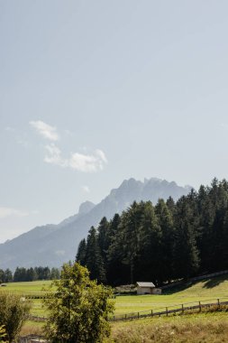 Uzakta bir dağ sırası görülebilir, çam ormanının arkasında küçük bir ev ve ön planda bir çit vardır. Gökyüzü açık ve çimenler yeşil