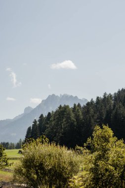 Uzakta bir dağ sırası görülebilir, çam ormanının arkasında küçük bir ev ve ön planda bir çit vardır. Gökyüzü açık ve çimenler yeşil