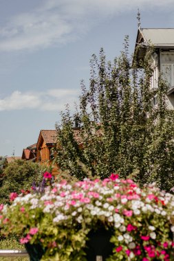 Kırmızı çatılı ve önünde ağaç olan bir ev. Ağaç, bir saksının içinde pembe ve beyaz çiçeklerle çevrilidir.