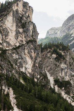 Ağaçları ve kayalık bir uçurumu olan bir dağ sırası. Ağaçlar yeşil ve gökyüzü mavi.