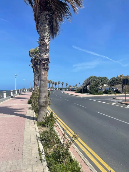 Vibrante Ciudad Gozo Island Con Palmeras Agua Azul Clima Tropical — Foto de Stock