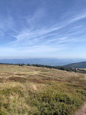 Polonya ve Çek dağları arasında yuva yapmış güzel bir çayır..