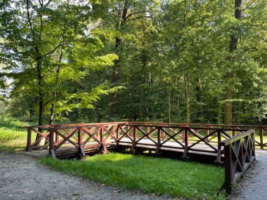 Yeşilliklerle çevrili güzel bir patika..